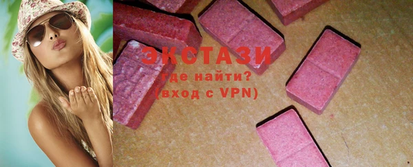 гашик Вяземский