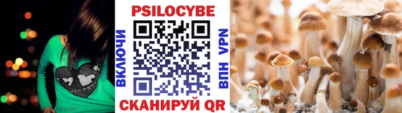 Галлюциногенные грибы мухоморы  Микунь 